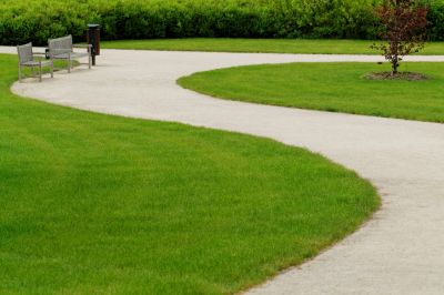 Long-Term Maintenance